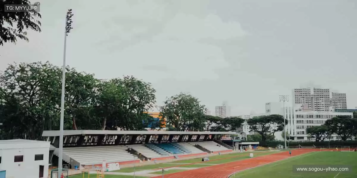 📺 实时解说，带你沉浸式感受赛场心跳！